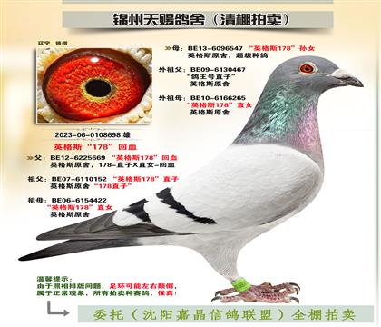 英格斯“178”多重回血