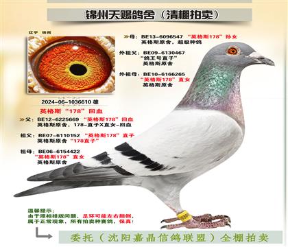 英格斯“178”多重回血