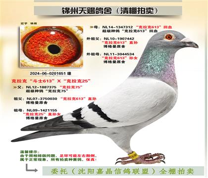 ˡʿ613Ѫ
