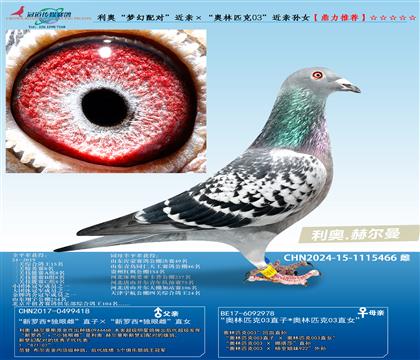 W䌦HWƥ03HOŮ