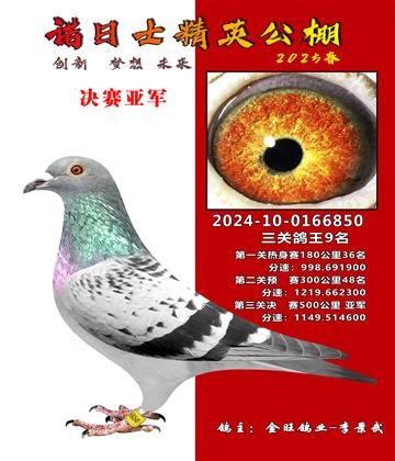 諾日士賽鴿2025春賽決賽亞軍