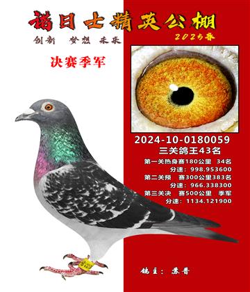 諾日士賽鴿2025春賽決賽季軍