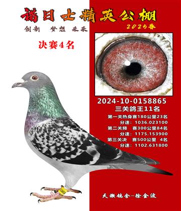 諾日士賽鴿2025春賽決賽4名