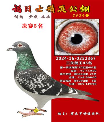 諾日士賽鴿2025春賽決賽5名