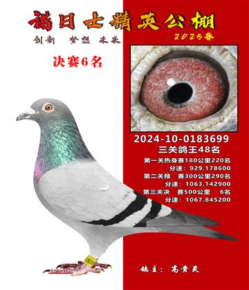 諾日士賽鴿2025春賽決賽6名