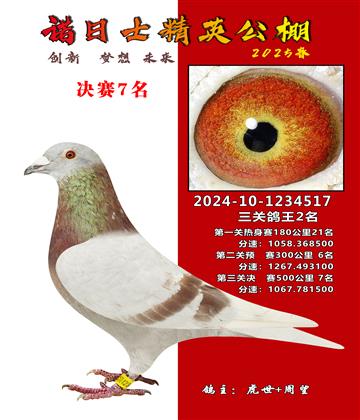 諾日士賽鴿2025春賽決賽7名