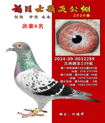 諾日士賽鴿2025春賽決賽8名