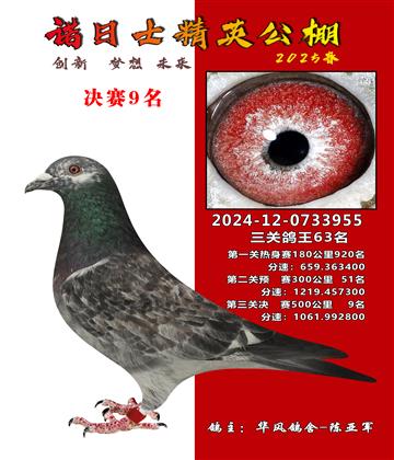 諾日士賽鴿2025春賽決賽9名