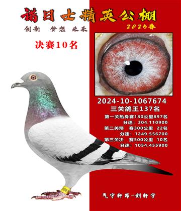 諾日士賽鴿2025春賽決賽10名