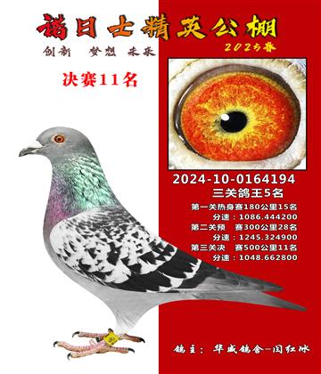 諾日士賽鴿2025春賽決賽11名