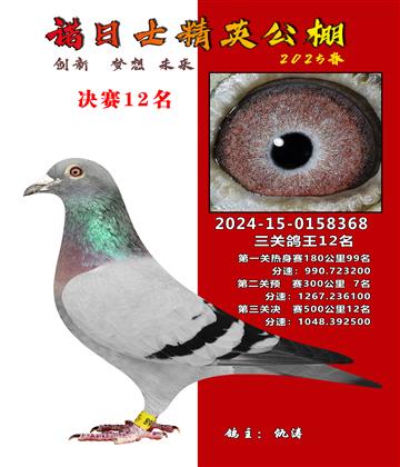諾日士賽鴿2025春賽決賽12名