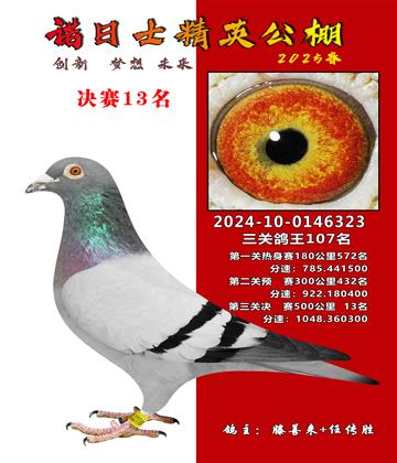 諾日士賽鴿2025春賽決賽13名