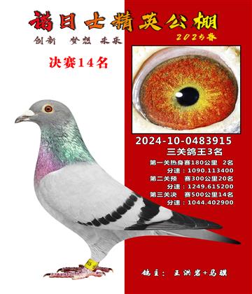 諾日士賽鴿2025春賽決賽14名