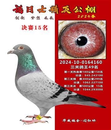 諾日士賽鴿2025春賽決賽15名