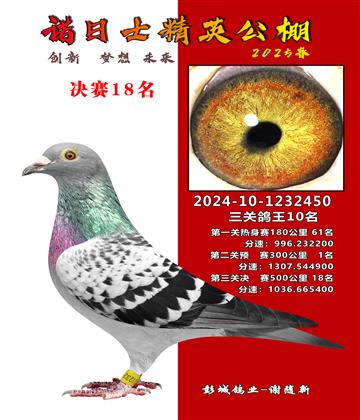 諾日士賽鴿2025春賽決賽18名