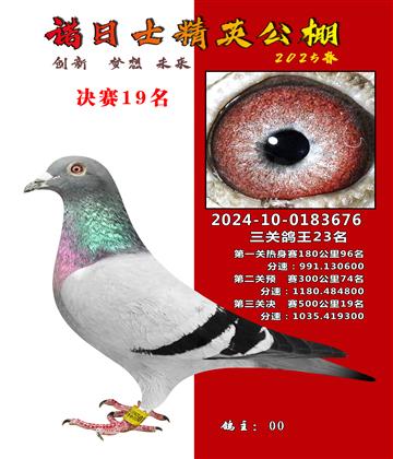 諾日士賽鴿2025春賽決賽19名