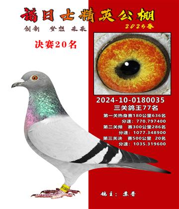諾日士賽鴿2025春賽決賽20名