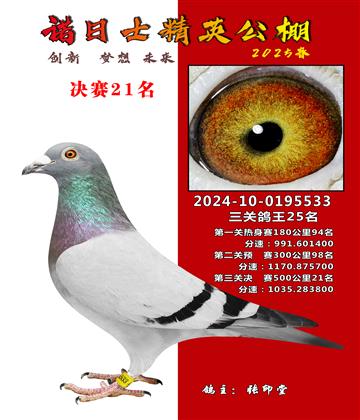 諾日士賽鴿2025春賽決賽21名