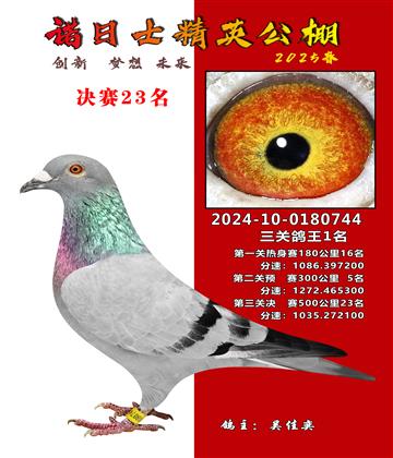 諾日士賽鴿2025春賽決賽23名