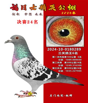 諾日士賽鴿2025春賽決賽24名