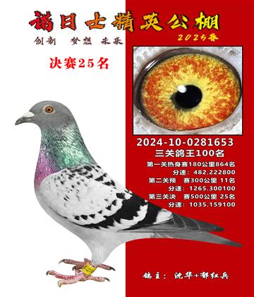 諾日士賽鴿2025春賽決賽25名