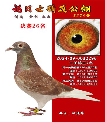 諾日士賽鴿2025春賽決賽26名