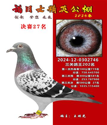 諾日士賽鴿2025春賽決賽27名