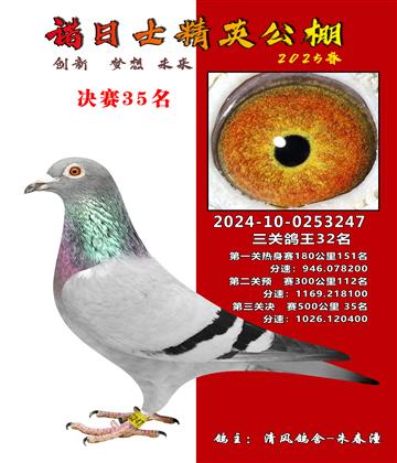 諾日士賽鴿2025春賽決賽35名