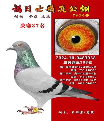 諾日士賽鴿2025春賽決賽37名