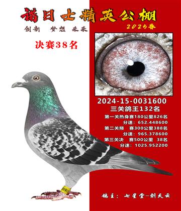 諾日士賽鴿2025春賽決賽38名