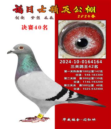 諾日士賽鴿2025春賽決賽40名