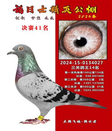 諾日士賽鴿2025春賽決賽41名