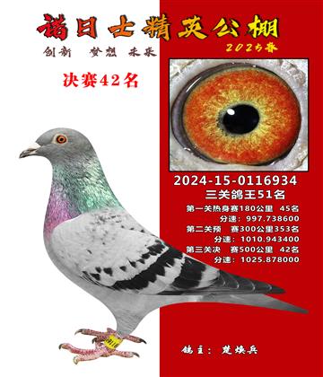 諾日士賽鴿2025春賽決賽42名