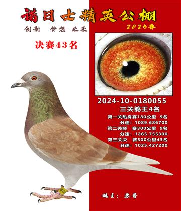 諾日士賽鴿2025春賽決賽43名