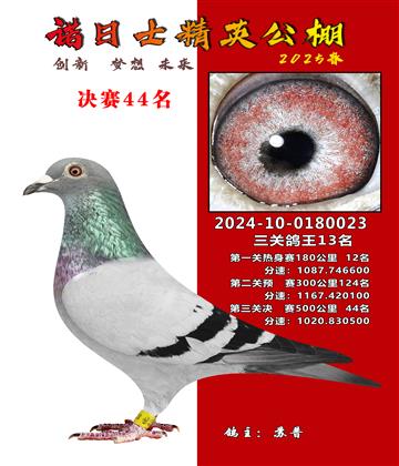 諾日士賽鴿2025春賽決賽44名