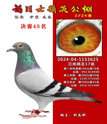 諾日士賽鴿2025春賽決賽45名