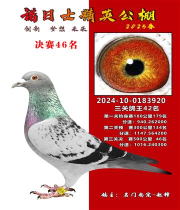 諾日士賽鴿2025春賽決賽46名