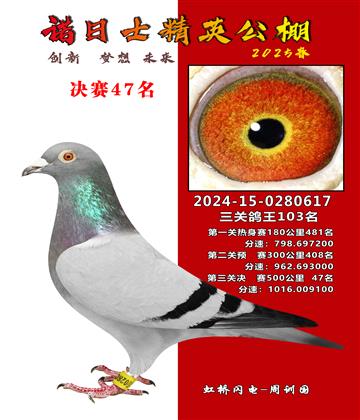 諾日士賽鴿2025春賽決賽47名