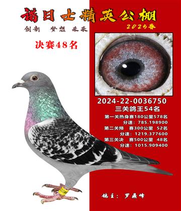 諾日士賽鴿2025春賽決賽48名