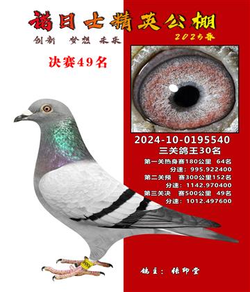 諾日士賽鴿2025春賽決賽49名