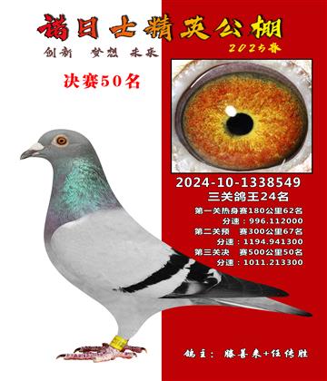 諾日士賽鴿2025春賽決賽50名