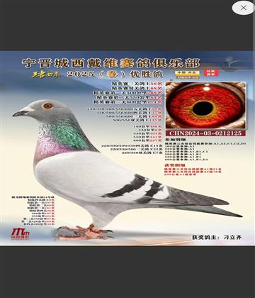 三縣聯(lián)翔千公里21名