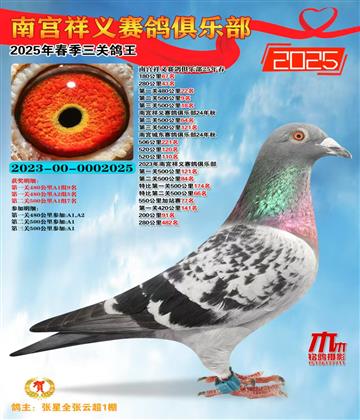 祥義三關(guān)鴿王4名