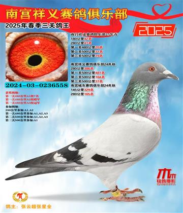 祥義三關(guān)鴿王5名