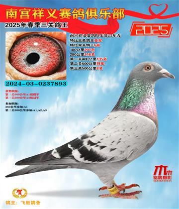 祥義特比三關(guān)鴿王亞軍