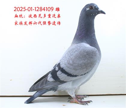 109