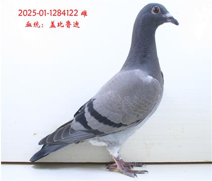 ?sh)?22