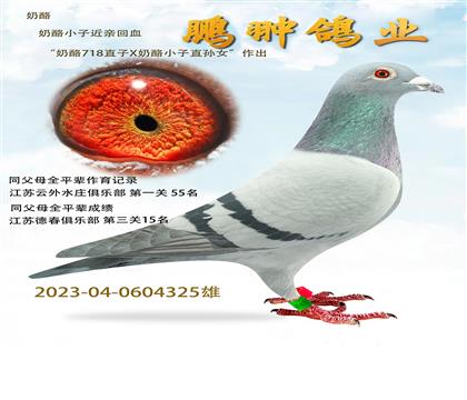 “奶酪718直子X(jué)奶酪小子直孫女”