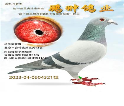 迪卡普里奧近親回血