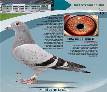 wԭ727_ܚWx?sh)?65S䌦